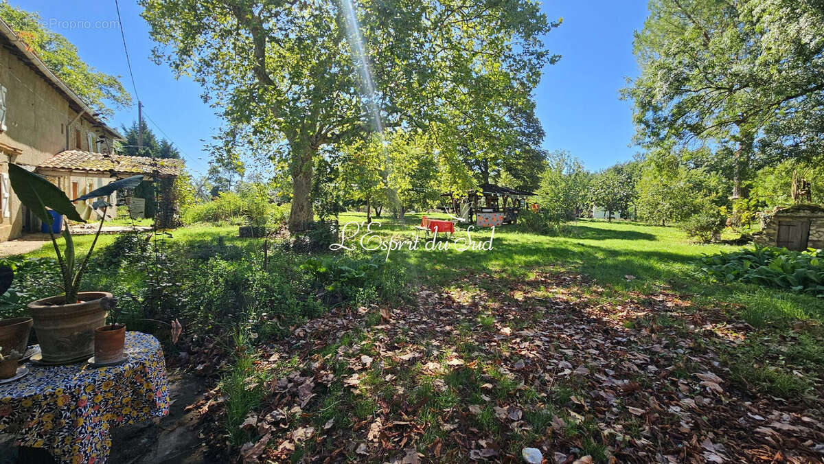 Maison 413 m² à Gaillac  - photo 5