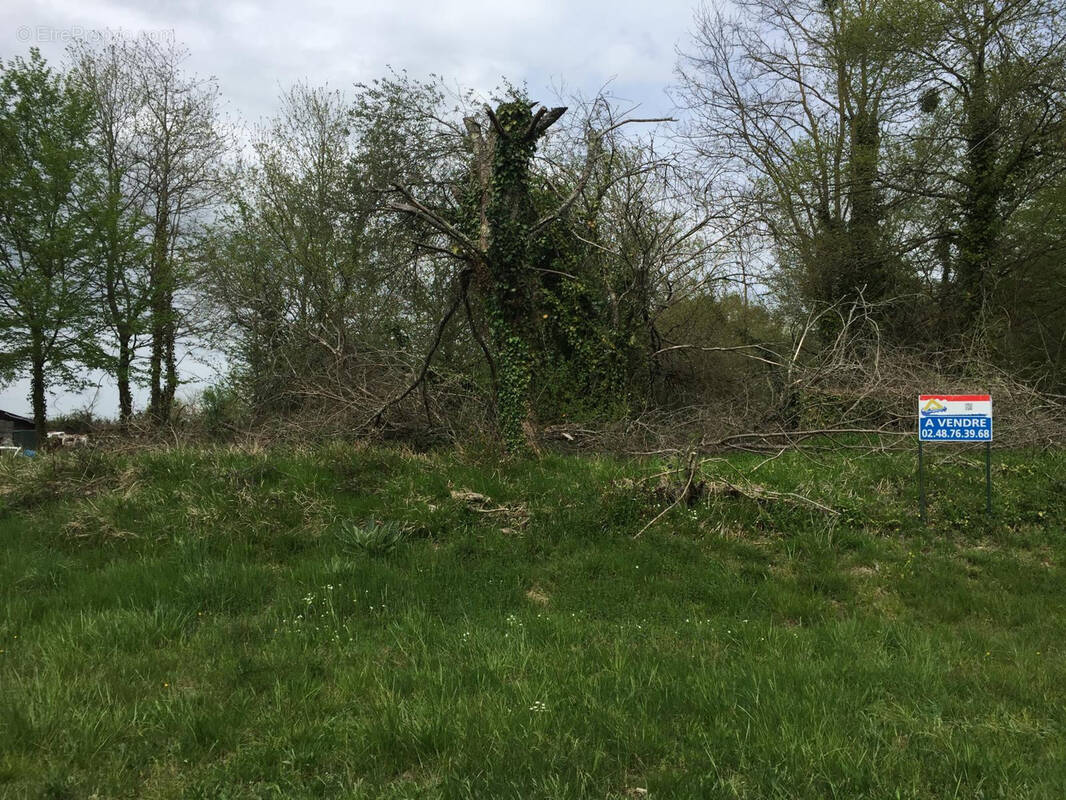 Terrain à LA GUERCHE-SUR-L&#039;AUBOIS