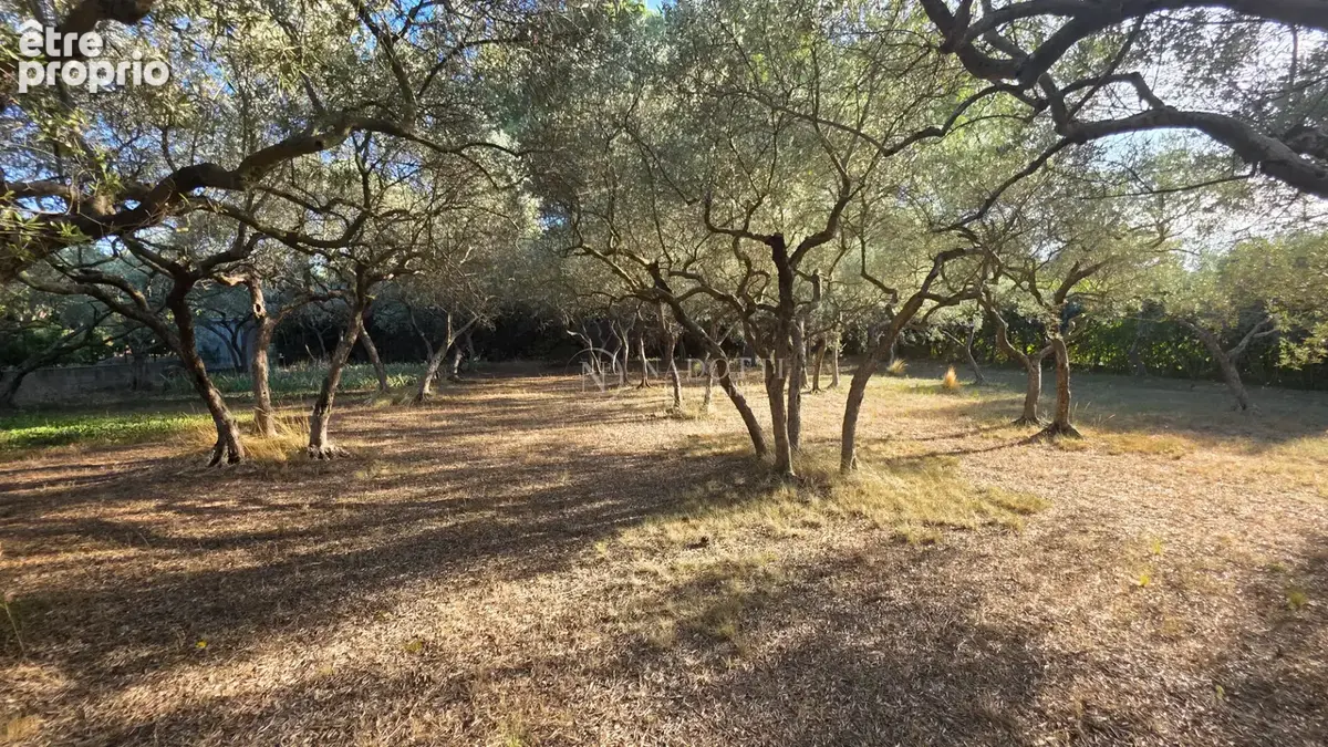 Superbe  villa individuelle de 150 m² traditionnelle sur 2260 m² de terrain clos - photo 11