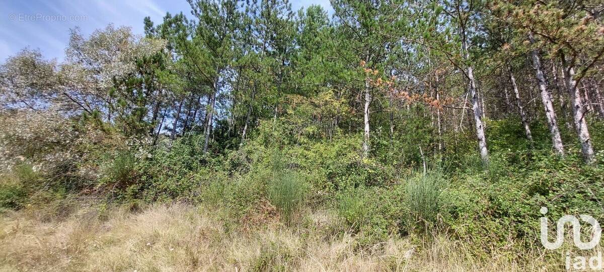 Photo 1 - Terrain à CONDORCET