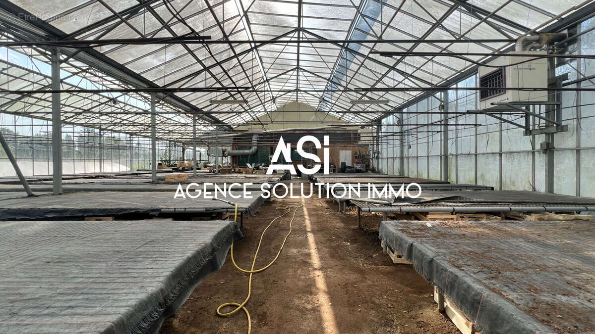 Terrain à LA FERTE-MACE