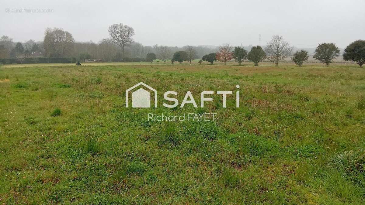 Photo 2 - Terrain à BOIS