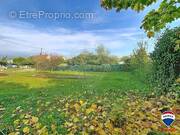 Terrain à RICHWILLER