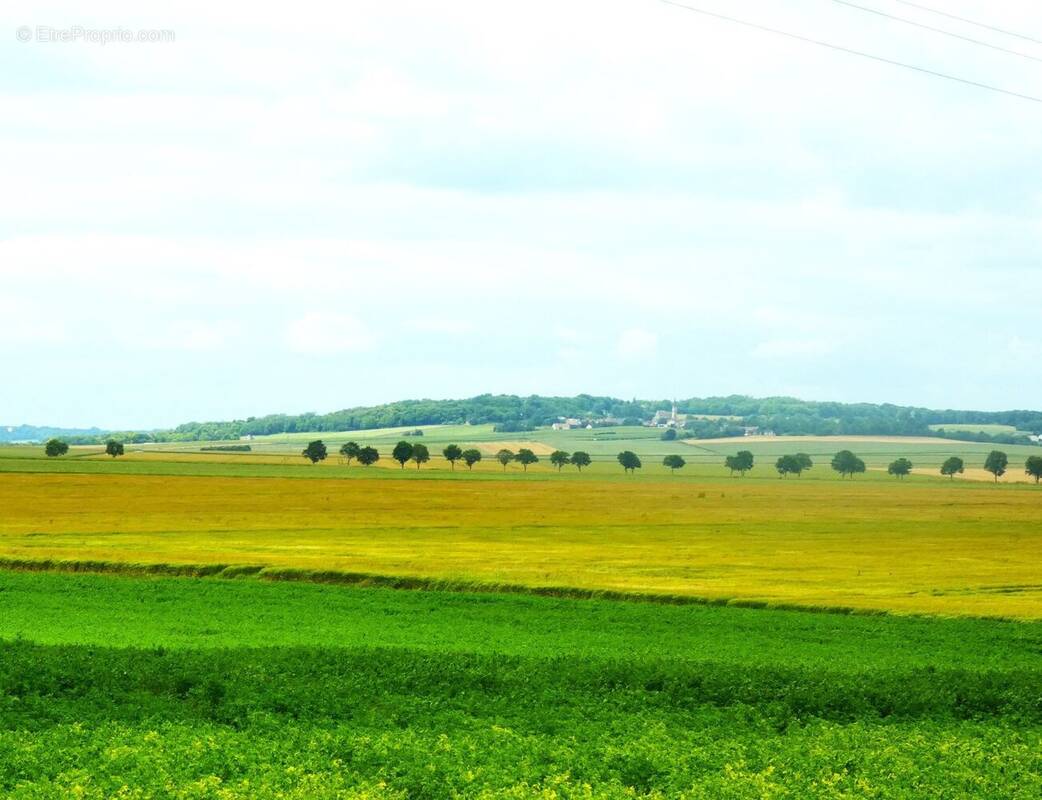 Terrain à FRESNE-LES-REIMS