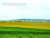 Terrain à FRESNE-LES-REIMS