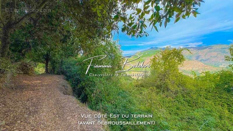 À vendre Terrain 750m², Canaja, Campile, Haute-Corse (20) - photo 3