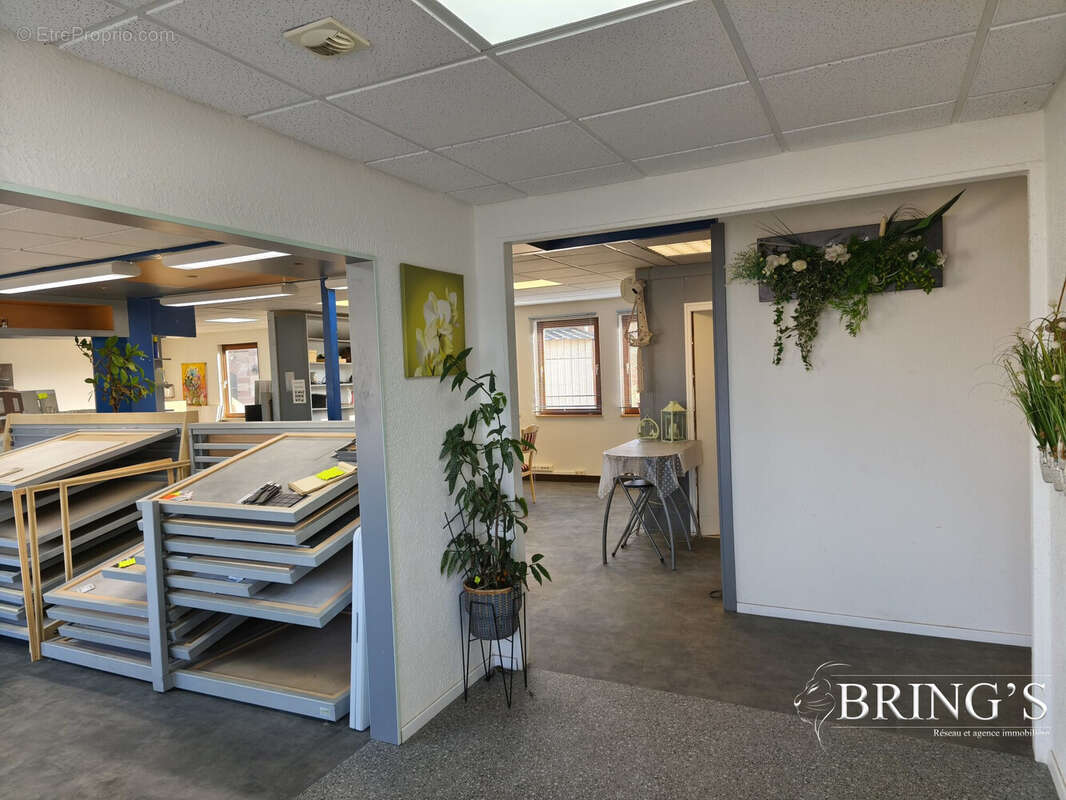 Commerce à PHALSBOURG