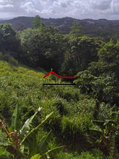 Terrain à RIVIERE-SALEE