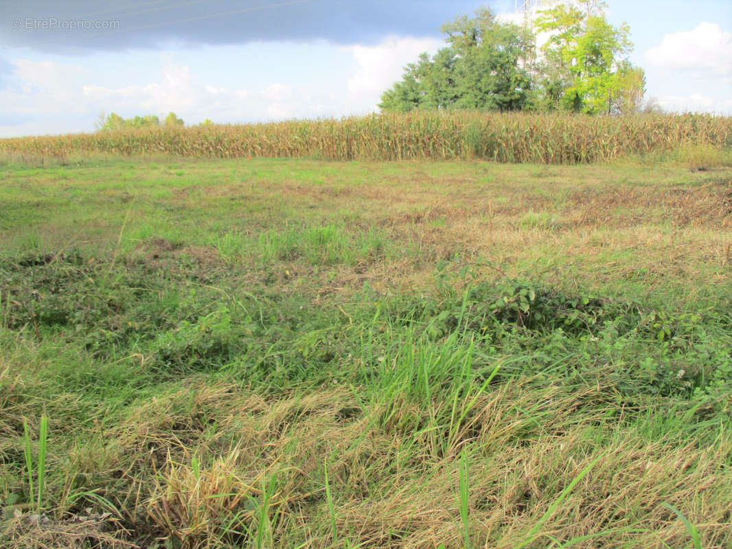 Terrain à OS-MARSILLON