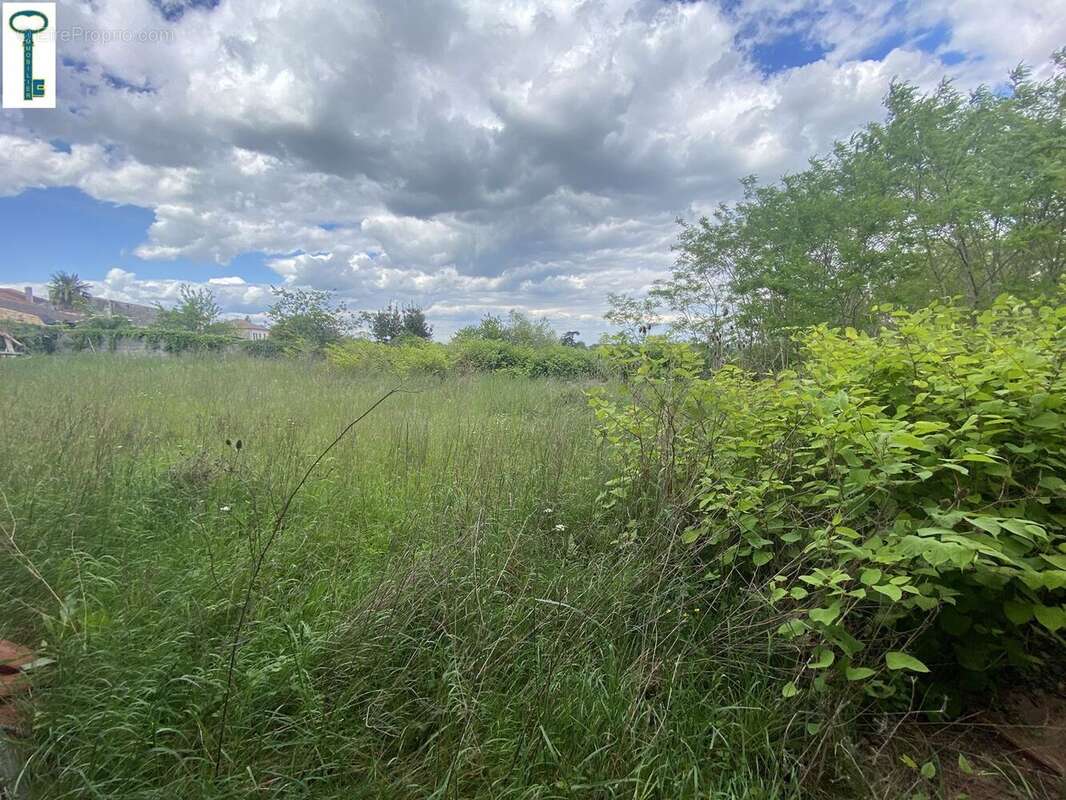 Appartement à MONTLIEU-LA-GARDE