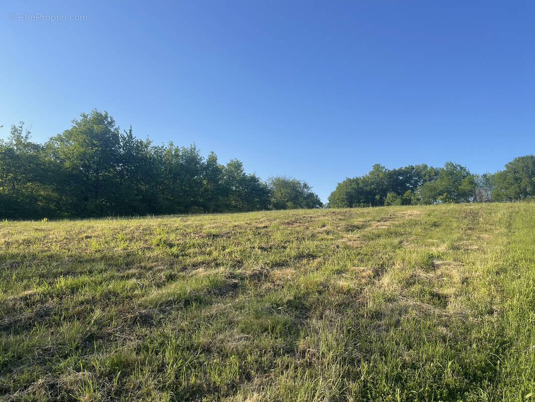 Terrain à ORTHEZ