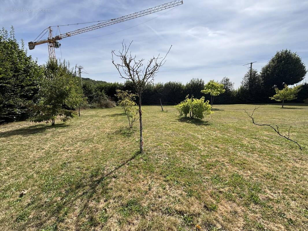 Terrain à COLOMBE