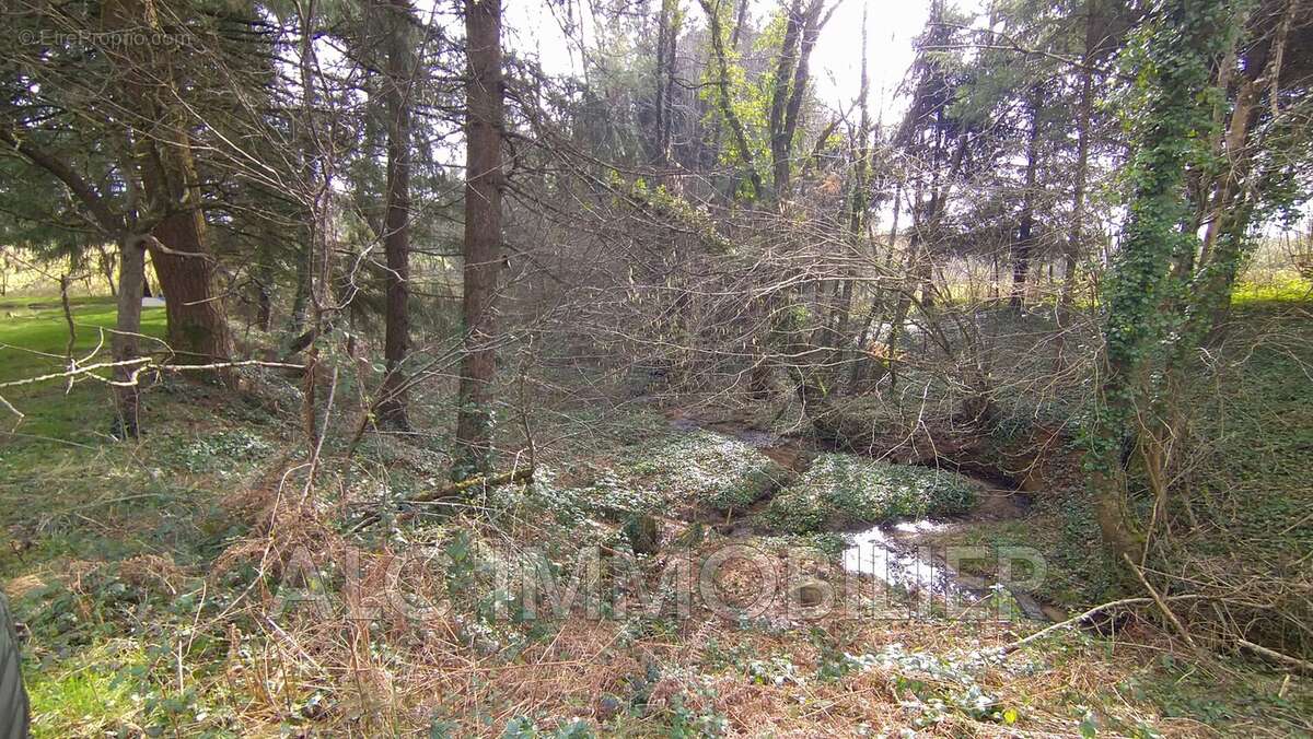 Terrain à LOUPFOUGERES