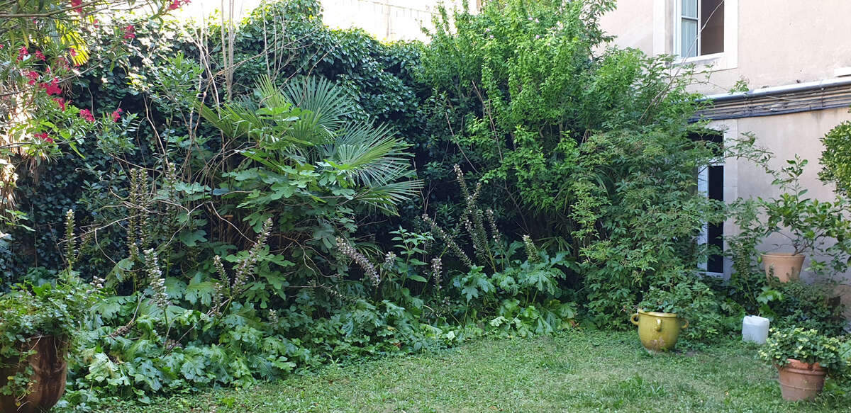 Appartement à CARCASSONNE
