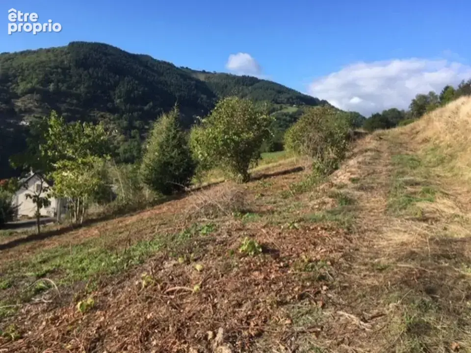 Terrain 1300 m² à Entraygues-Sur-Truyere  - photo 5
