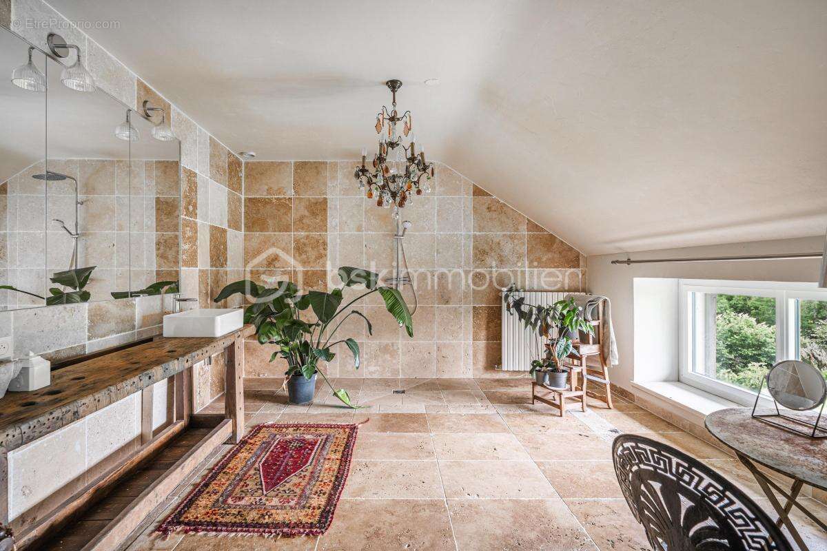 Maison de caractère de 250 m² avec 3 gîtes indépendants à fort potentiel touristique - photo 4