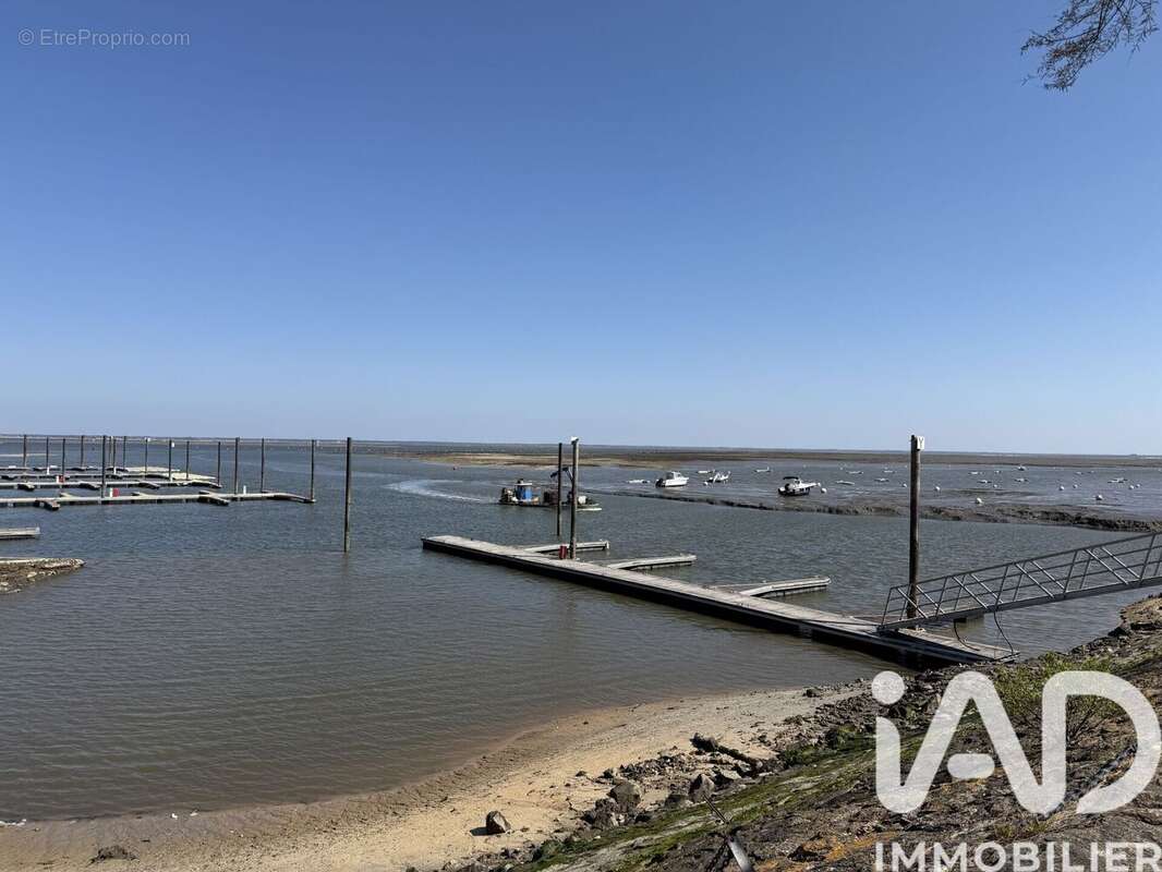 Photo 8 - Appartement à ARCACHON