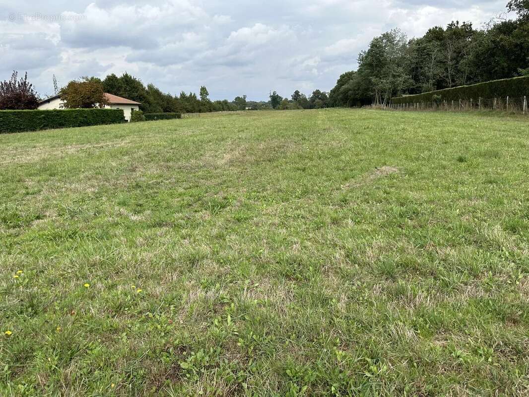 Terrain à ETAULIERS