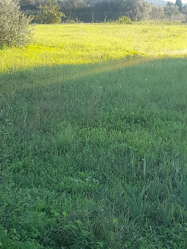 Terrain à LA VALETTE-DU-VAR