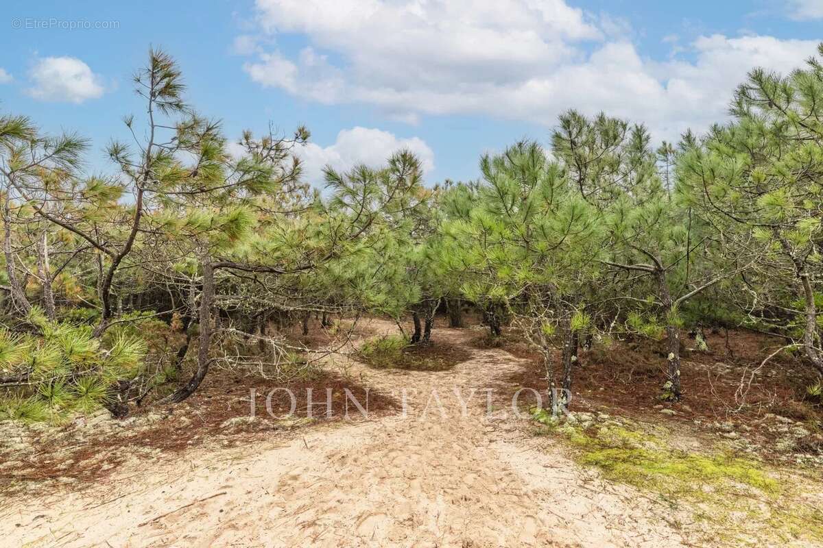 Maison à LEGE-CAP-FERRET