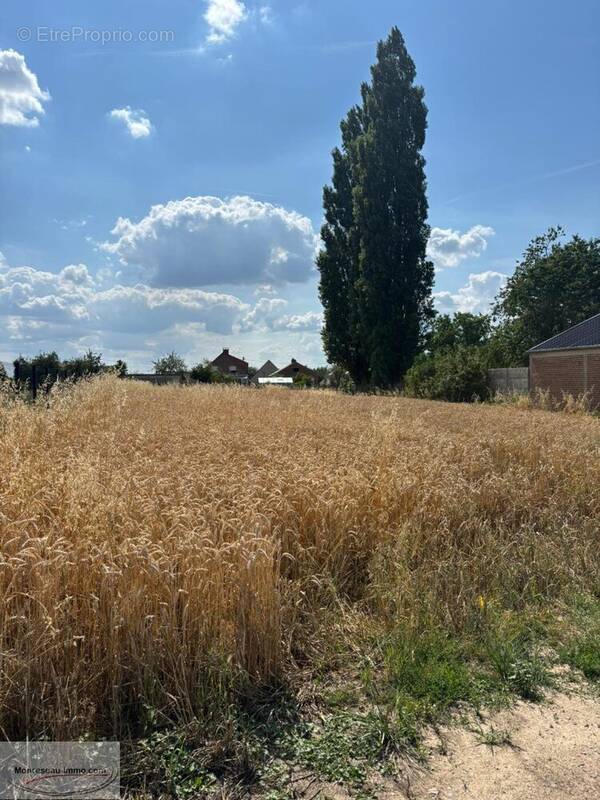 Terrain à CAMBRAI