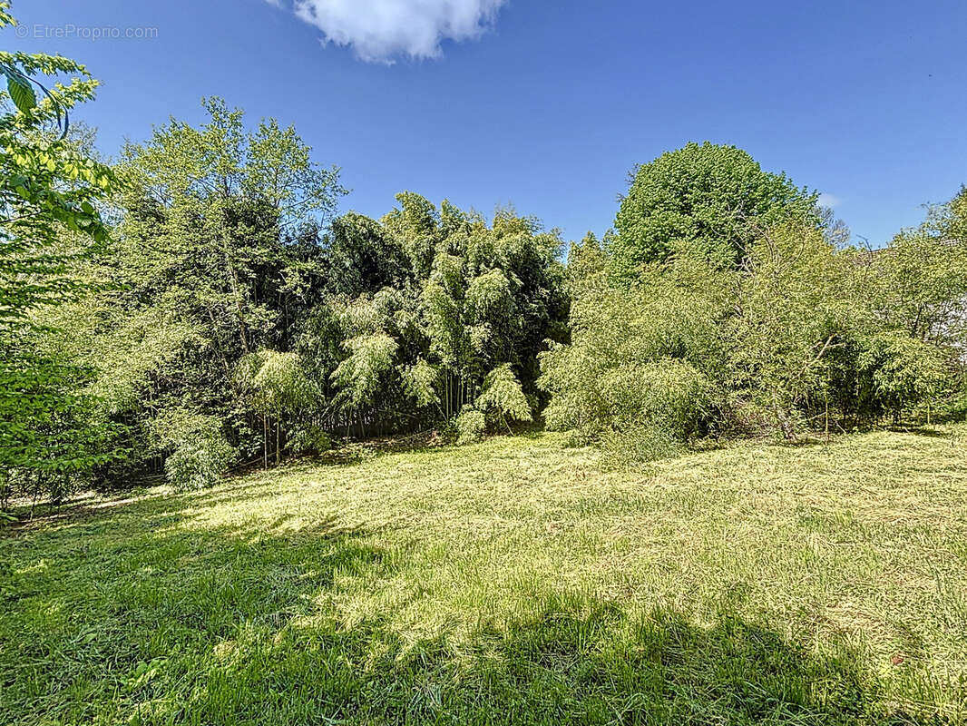 Terrain constructible 1762 m2 - Chindrieux - photo 3