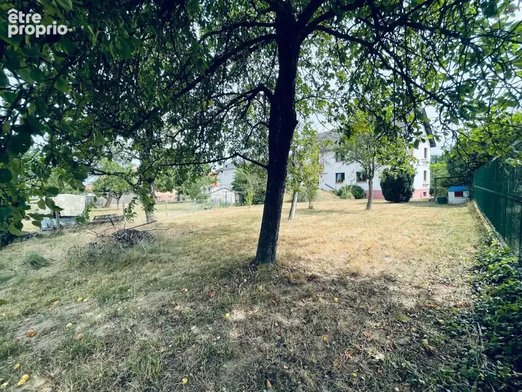 Maison À Vendre à HAGUENAU - photo 40