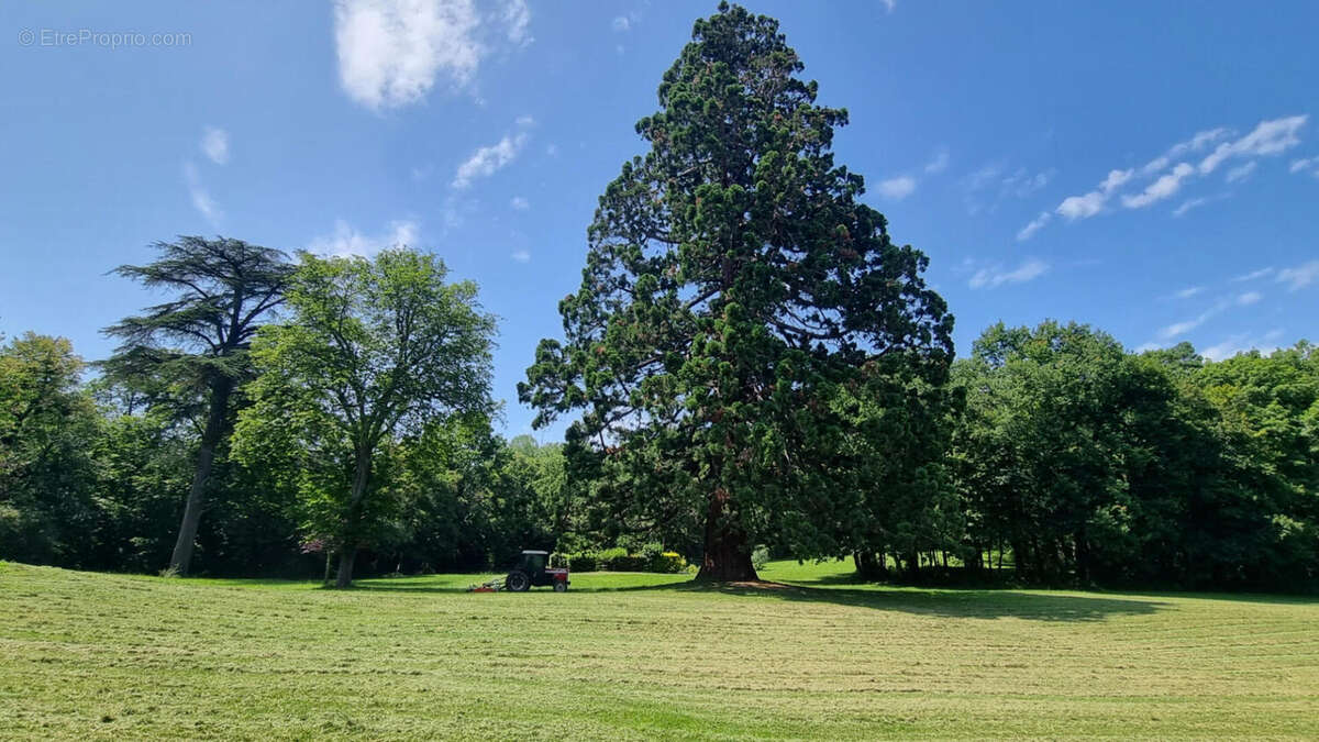 parc - Appartement à LERAN