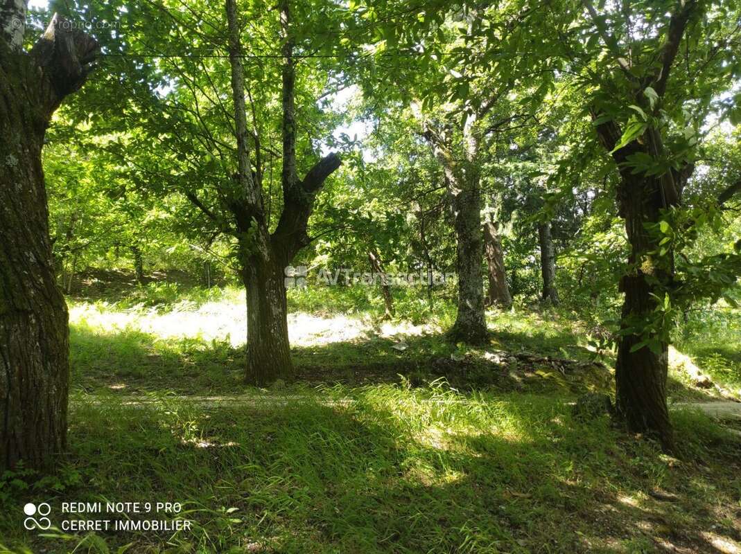 Terrain 5257 m² à Colognac  - photo 22