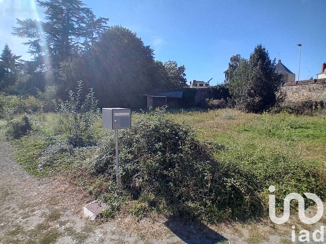 Photo 3 - Terrain à SEGRE