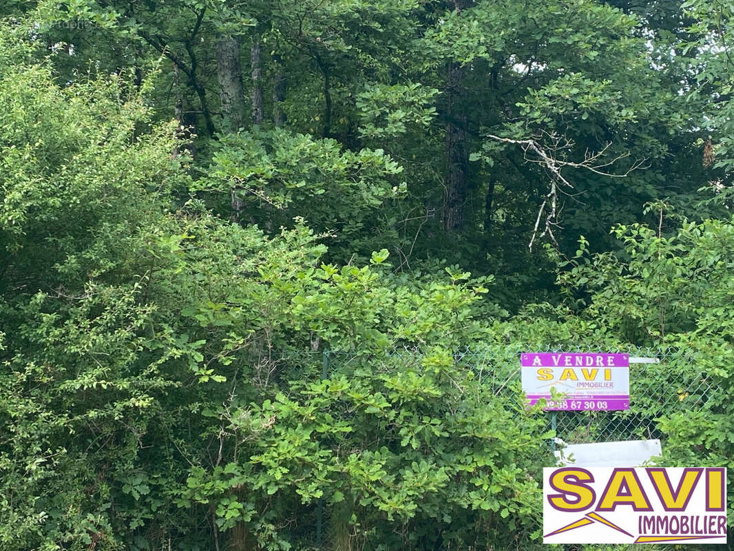 Terrain à BAZOCHES-SUR-LE-BETZ