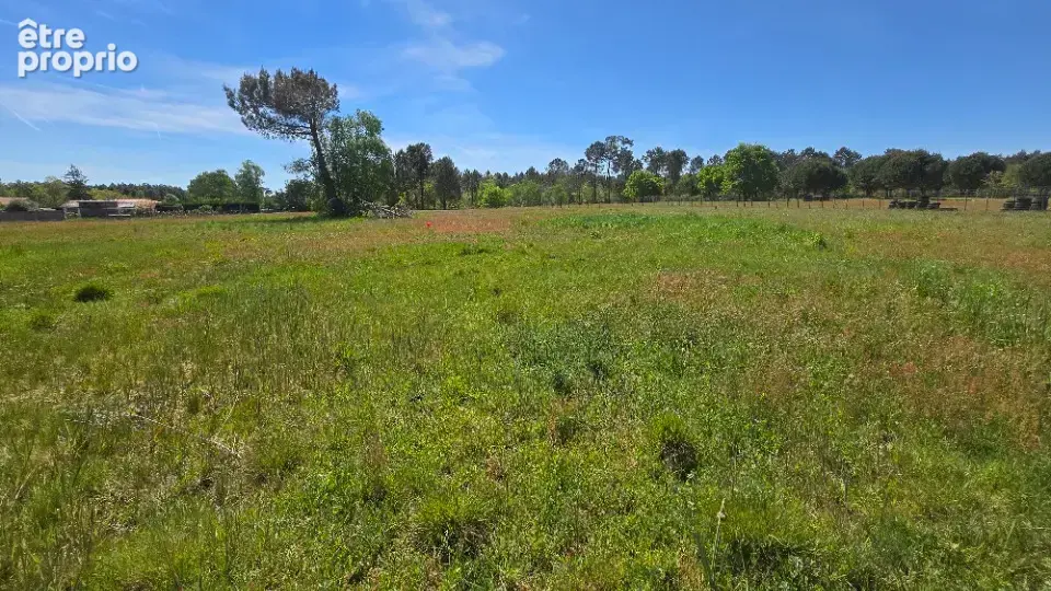 Terrain à SAINT-SAVIN