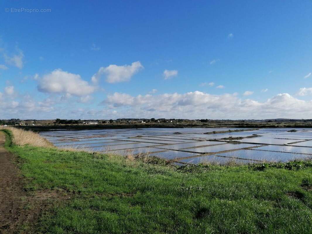 Photo 6 - Maison à GUERANDE