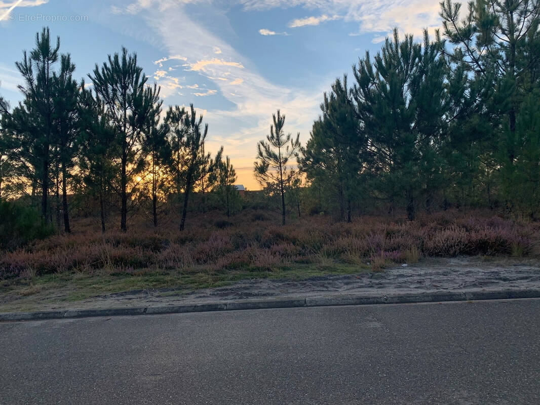 Terrain à PARENTIS-EN-BORN