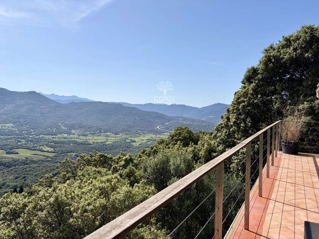 Chalet de charme en bois exotique - vue panoramique, olmeto - photo 2