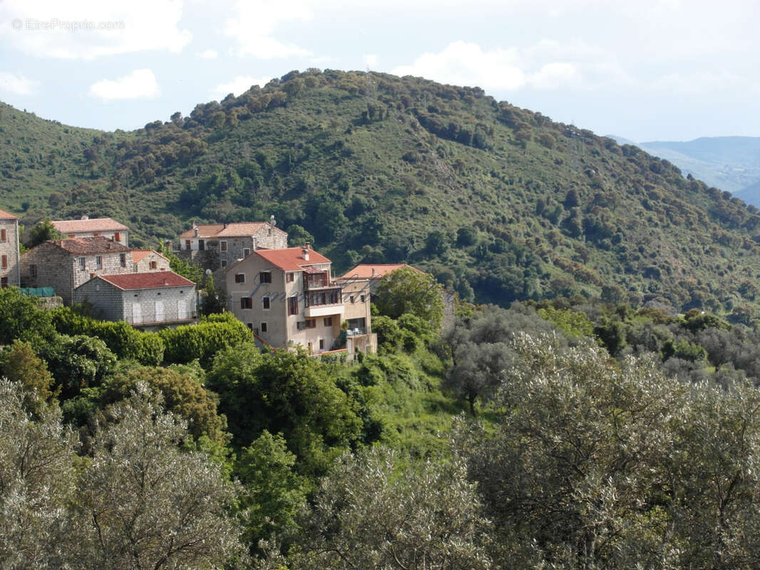 Maison à SAINTE-LUCIE-DE-TALLANO