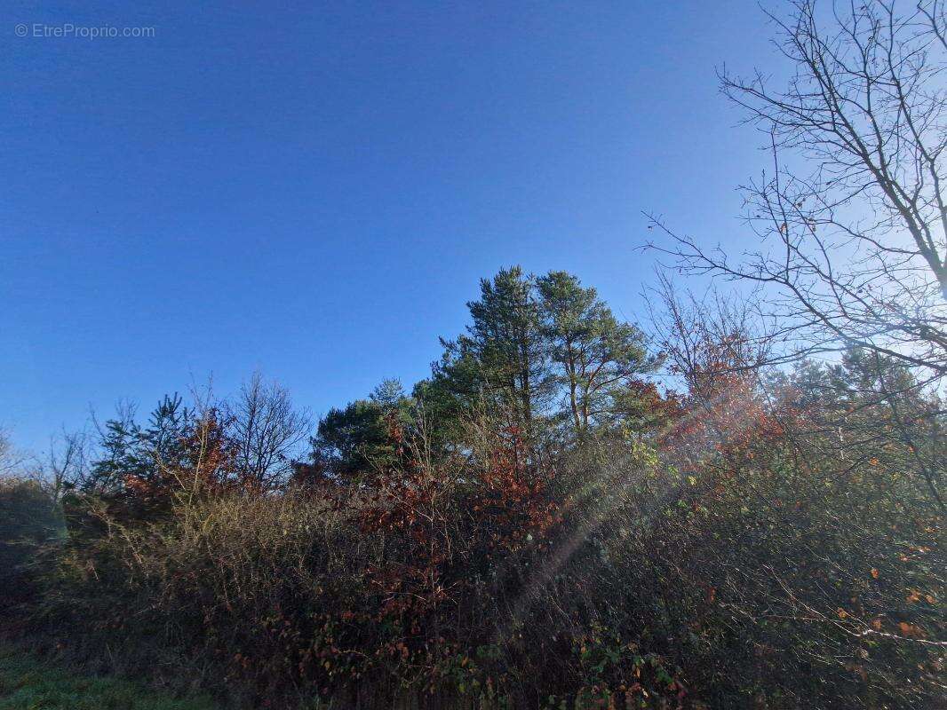 Terrain à CHATILLON-SUR-CHER