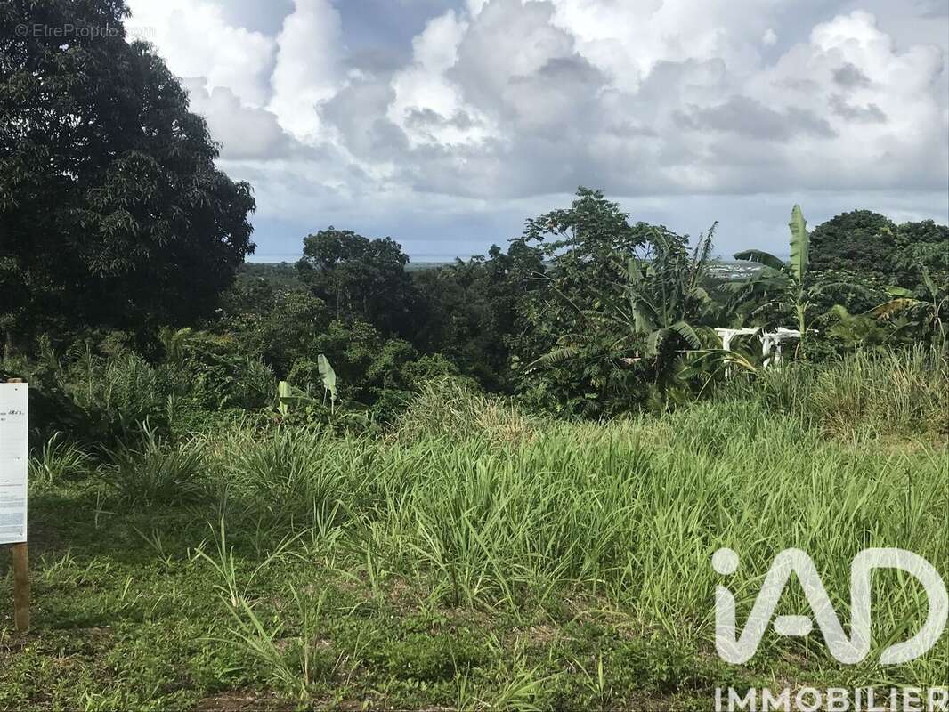 Photo 2 - Terrain à SAINTE-ROSE