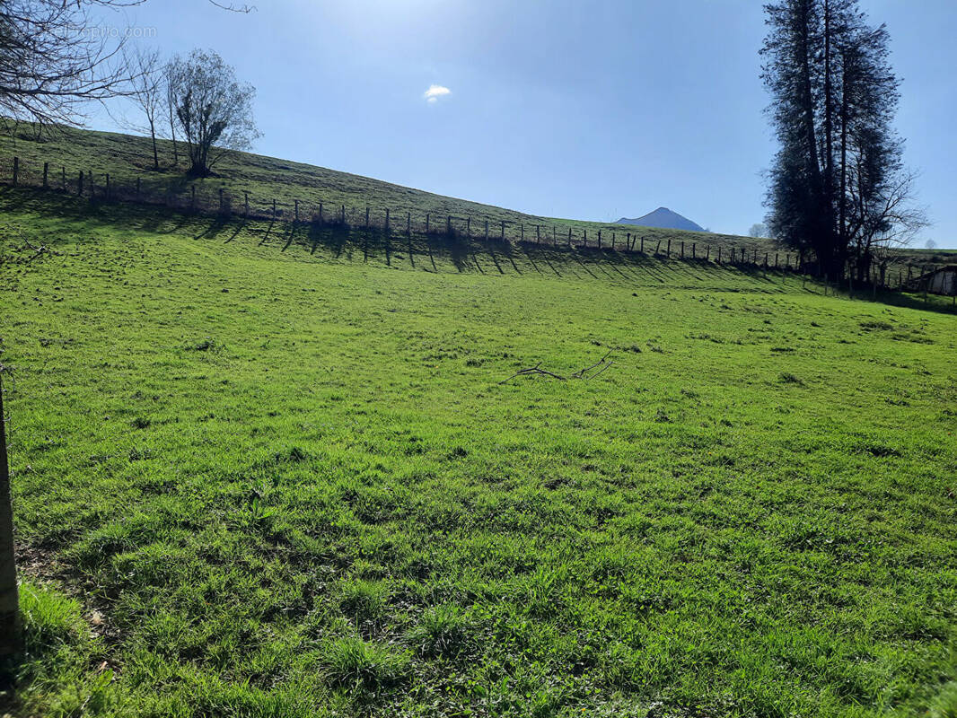 Terrain à SARE