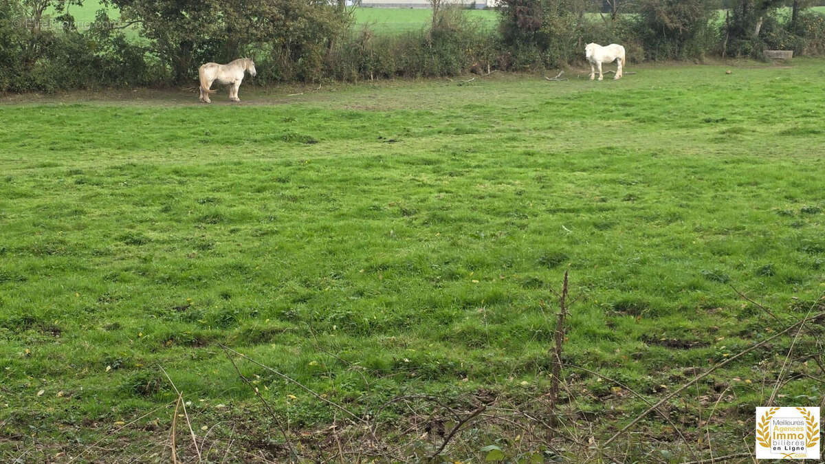 Terrain à SAINT-LEONARD-DES-BOIS