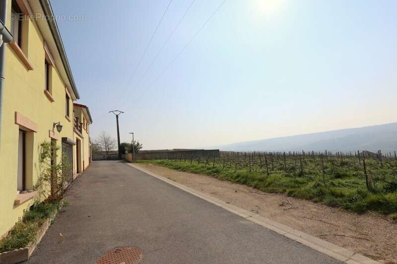 VENTEUIL(51) Maison à vendre 8 pièces avec une vue exceptionnelle sur le vignoble de la vallée de la marne - photo 2