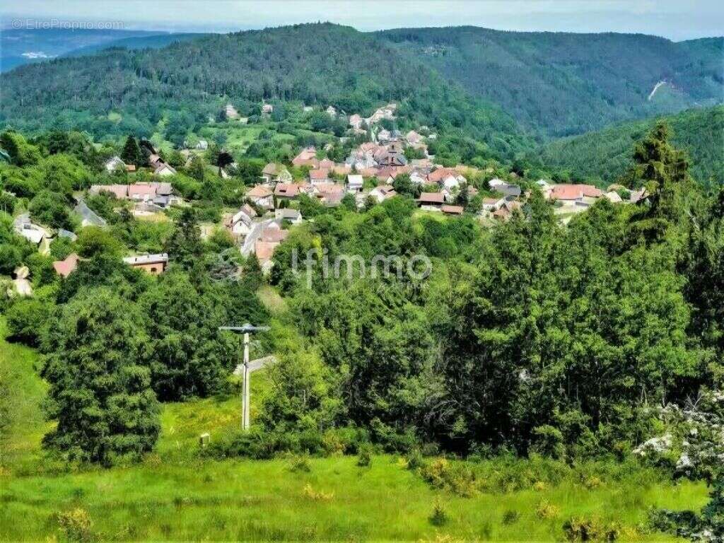Appt 52m2 au cœur de Grendelbruch - photo 4