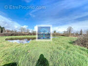 Terrain à SAINT-SAVIN