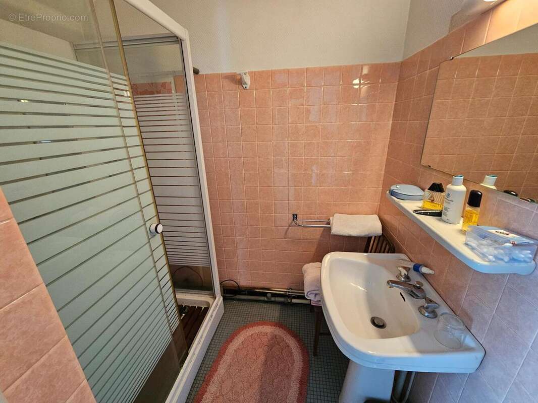 Photo 9 - Maison à BELLERIVE-SUR-ALLIER
