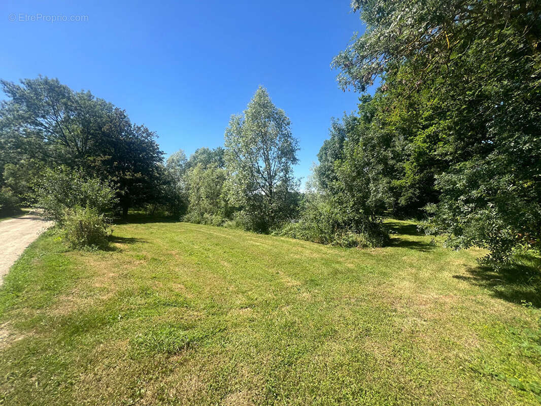 Terrain à PIERRE-DE-BRESSE