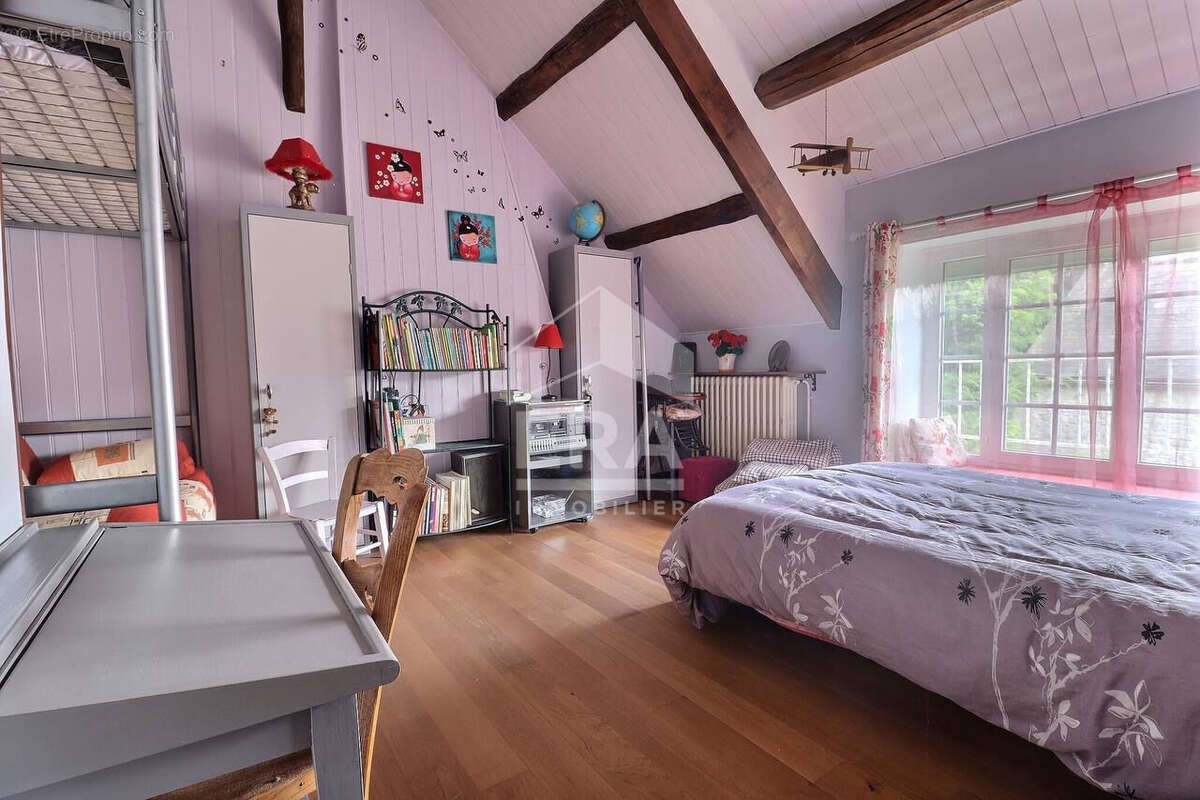 Maison 283m² à autruy-sur-juine - photo 10