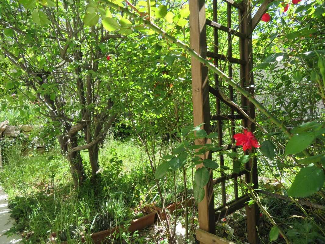   - Maison à DRAGUIGNAN