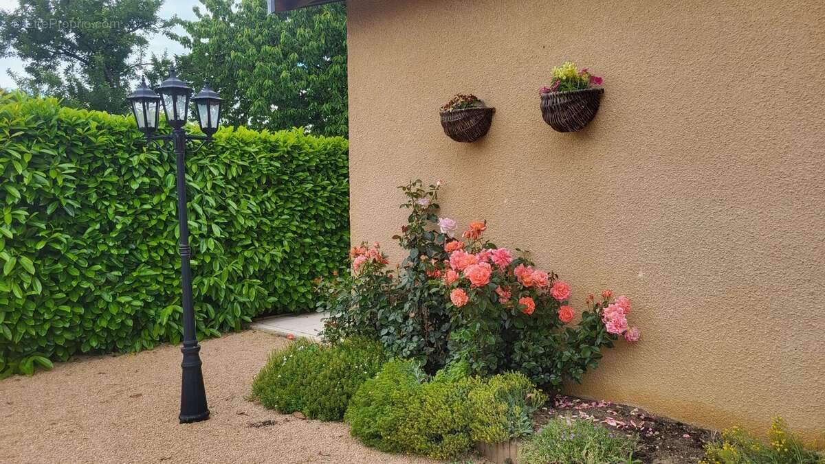 Maison à ROMANECHE-THORINS