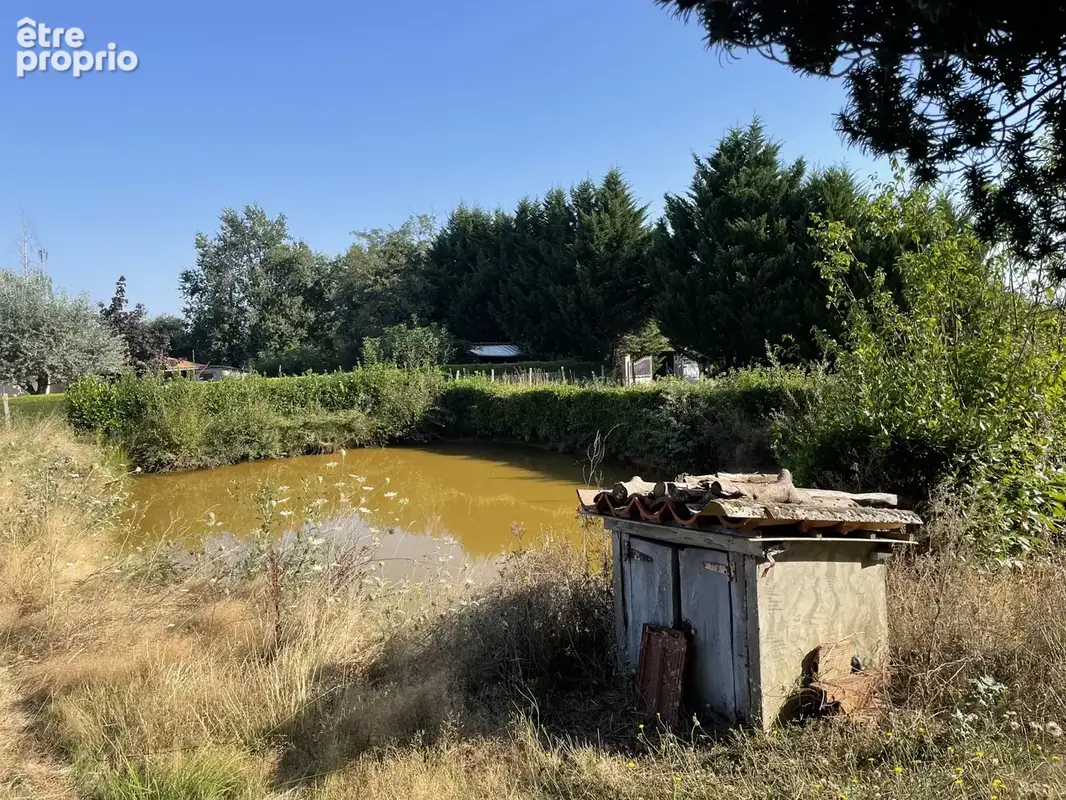 Maison a renover avec dependances sur 10ha  de terrain - photo 26