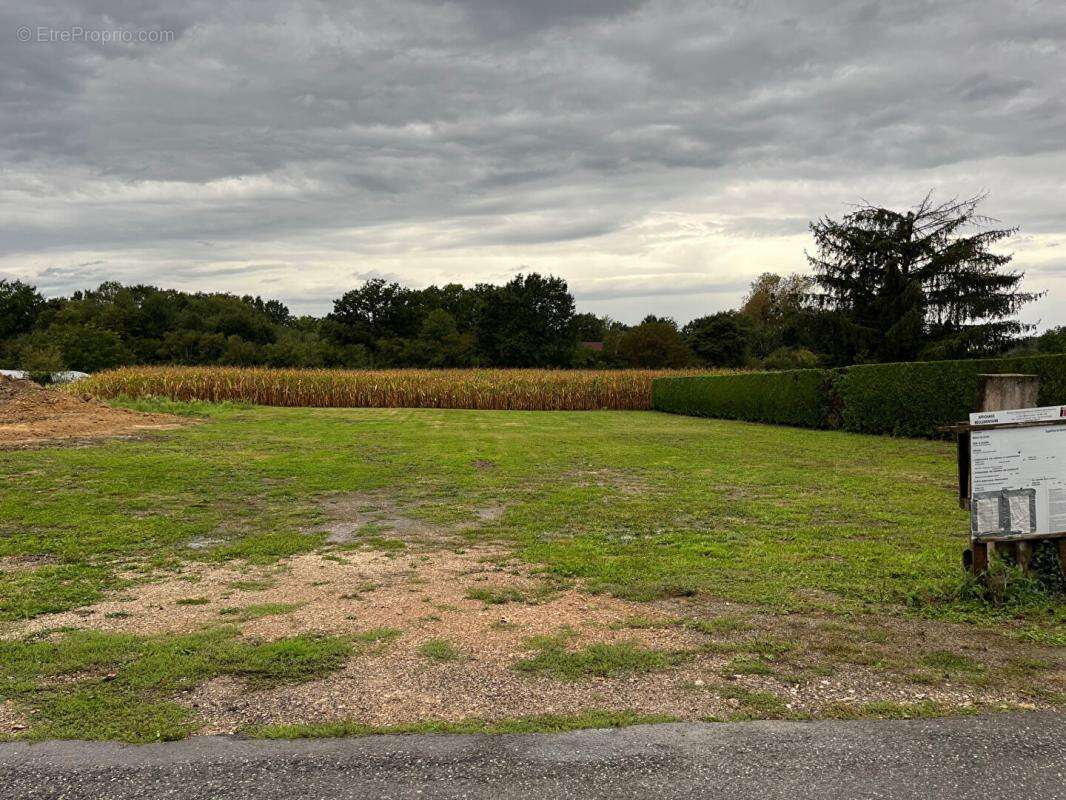 Terrain à SAINT-CHRISTOPHE-EN-BRESSE